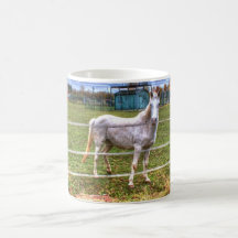 Pferd Kaffee Tassen