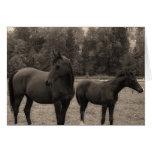 Pferd Karte