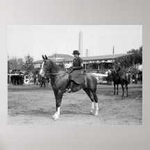 Pferd Nr. sechs: 1914 Posterdrucke