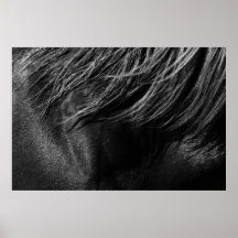 Pferd Plakatdrucke