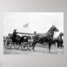 Pferd u. Buggy: 1919 Posterdrucke