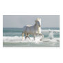 Pferdeozean-Visitenkarte visitenkarten by horsesense Pferdeozean-Visitenkarte visitenkarten