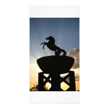 Pferdepostkarte Photo Grußkarte