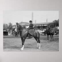 Pferdeshow-Foto 1914 Plakatdruck