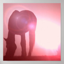 PferdeSilhouette-Plakat-Druck