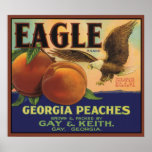Pfirsich-Plakat Eagles Georgia