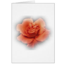 Pfirsich-Rose Karte
