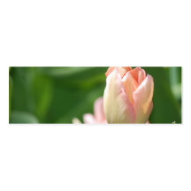 Pfirsich-Tulpe - dünn Visitenkartenvorlagen