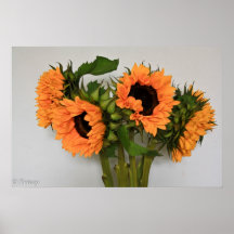 Picassos Sonnenblumen Posterdrucke