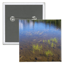 Picture See-Gras Anstecknadelbuttons