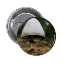 Pilz #6 button