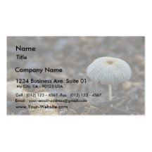 Pilz-Schmutz-Blätter Visitenkartenvorlagen