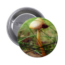 Pilz und ein Blatt-Foto Button