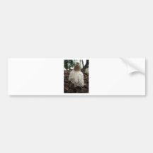 Pilze Autosticker