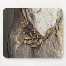 Pilze, die im Baum wachsen Mousepads