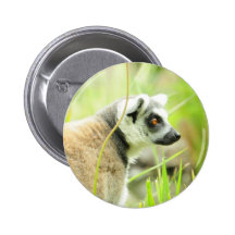 Pin - Lemur - Ring angebunden Anstecknadelbuttons
