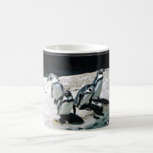 Pinguin-Kaffee C Haferl