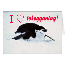 Pinguin-tobogganing Gruß-Karte