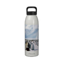 Pinguin Wasserflaschen