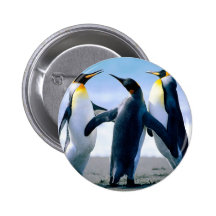Pinguine Anstecknadel