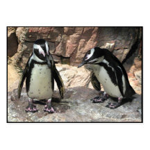 Pinguine ATC Visitenkarten Vorlagen