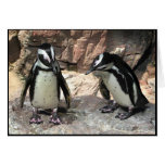 Pinguine danken Ihnen Grußkarte