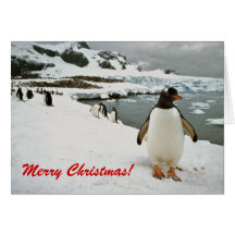 Pinguine in die Antarktis-Weihnachtsder karte
