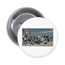 Pinguine in einer Sitzung Buttons