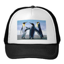Pinguine Kultkappe