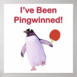 Pingwinned Pinguin-Klingeln Pong Plakatdrucke