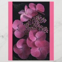 pink1 custom flyer