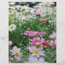 Pink and White Wildflowers Flyers