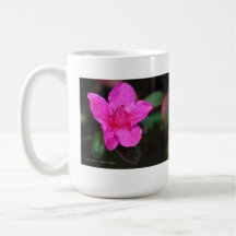Pink-Azaleen-Becher Kaffeehaferl