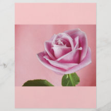 pink_beauty_ (14) flyers