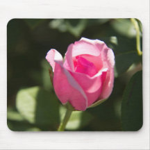 Pink Rose Bud Mousepads