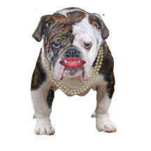 Pitbull mit Perlen Fotostatuen