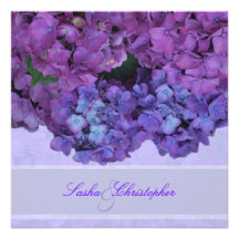 PixDezines BlauHydrangea Ankündigungskarten