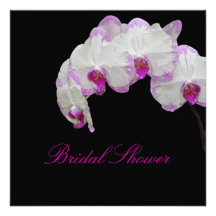 PixDezines Mottenorchidee/fuschia Ankündigungskarte