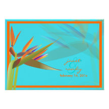 PixDezines Vogel der Paradise/DIY Hintergrundfarbe Personalisierte Einladungen