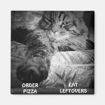 PIZZA ODER RESTE? MAGNETE