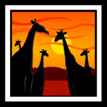 Plakat-Afrika-Giraffen poster