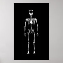Plakat - Röntgenstrahl-Visions-Single-Skelett Schw