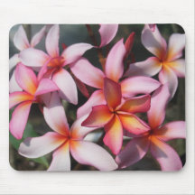 PlumeriaFrangipani, der Mousepad bedeckt