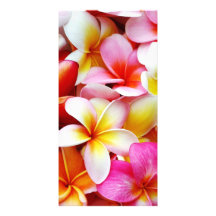 Plumeriafrangipani-Hawaii-Blume besonders angefert Personalisierte Foto Karte