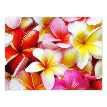 Plumeriafrangipani-Hawaii-Blume besonders angefert Kunstfoto