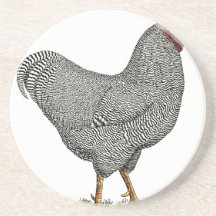 Plymouth Rock Chicken Drawing Drink Coasters