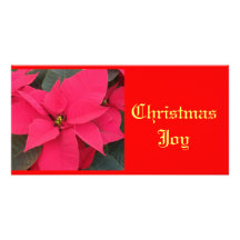 Poinsettia-Rot Personalisierte Foto Karte
