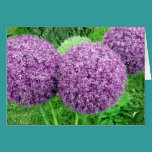 Pom Poms karten