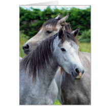 Pony-Freunde Karten