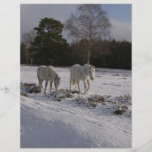 Ponys im Schnee Flyerdruck